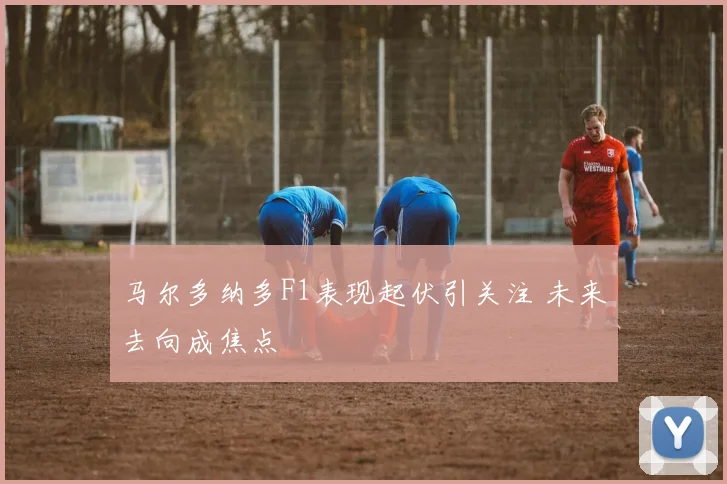 马尔多纳多F1表现起伏引关注 未来去向成焦点