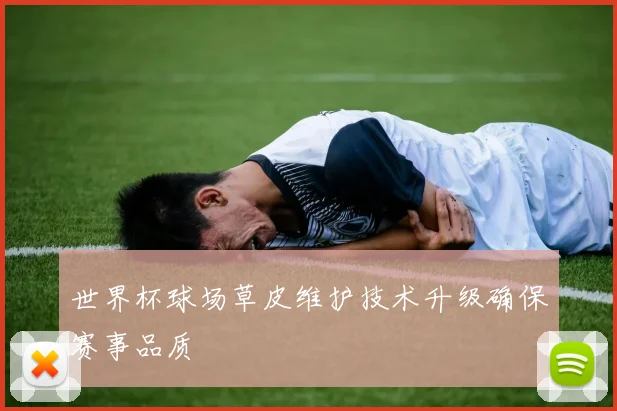 世界杯球场草皮维护技术升级确保赛事品质