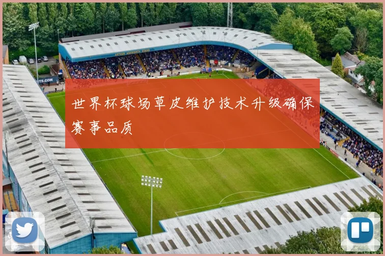 世界杯球场草皮维护技术升级确保赛事品质