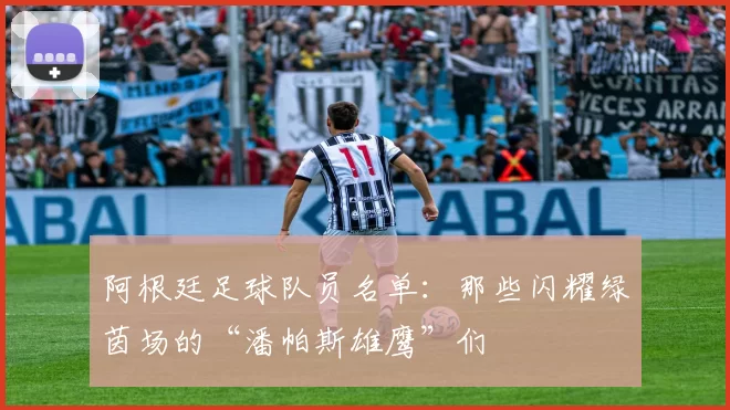 阿根廷足球队员名单:那些闪耀绿茵场的“潘帕斯雄鹰”们