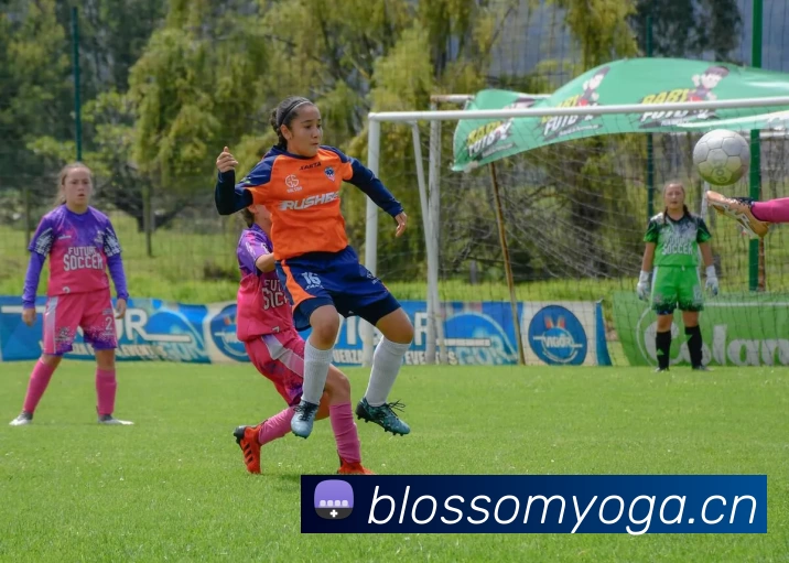 开云(中国)Kaiyun·官方网站 - 登录入口平台生态图